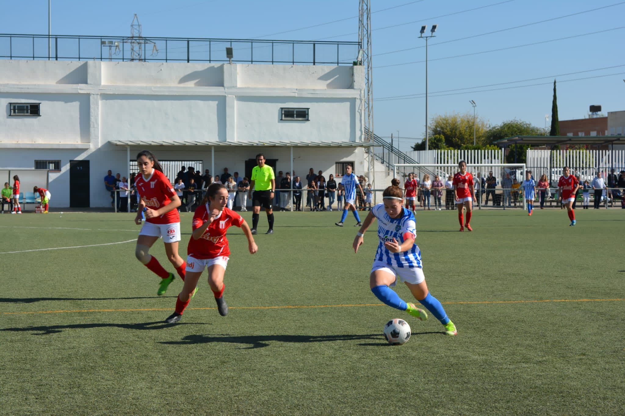 WhatsApp Image 2022-11-15 at 09.42.46