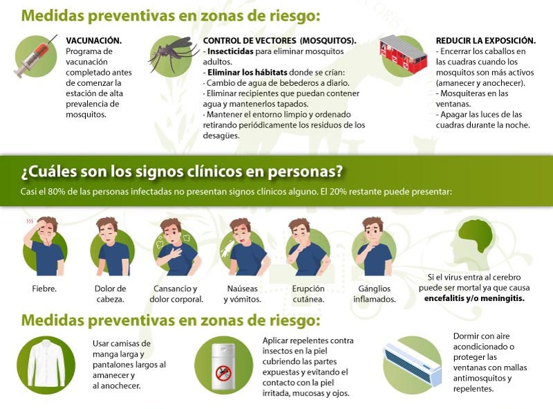 WhatsApp Image 2025-04-03 at 12.41.48